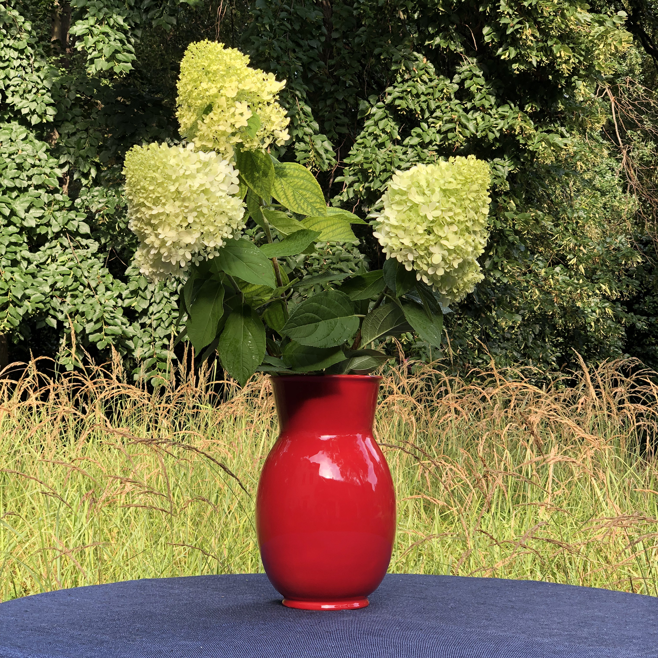 Form 709980 - Vase 998A